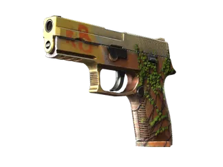 StatTrak™ P250 | Inferno (Factory New)