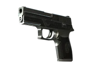 StatTrak™ P250 | Cartel (Battle-Scarred)
