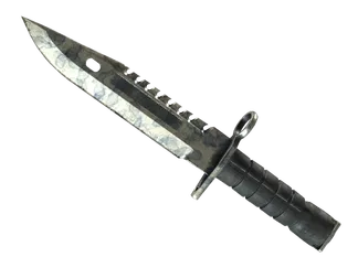 ★ M9 Bayonet | Stained (Battle-Scarred)