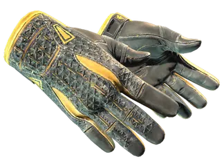 ★ Sport Gloves | Omega (Field-Tested)