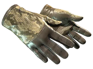 ★ Driver Gloves | Diamondback (Field-Tested)
