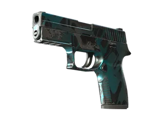 P250 | Ripple (Well-Worn)