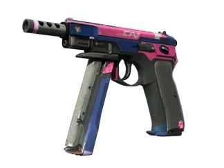CZ75-Auto | Tacticat (Well-Worn)