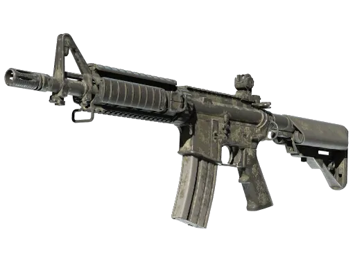 Faded Zebra