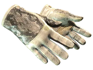 ★ Driver Gloves | King Snake (Field-Tested)