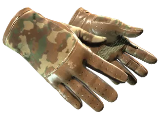 ★ Driver Gloves | Convoy (Well-Worn)