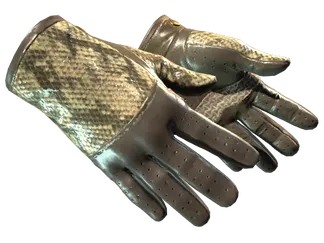 ★ Driver Gloves | Diamondback (Minimal Wear)