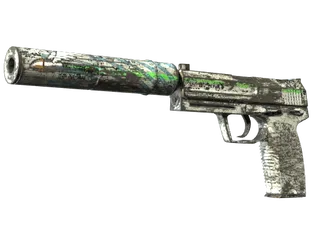 USP-S | Road Rash (Battle-Scarred)