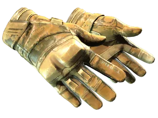 ★ Moto Gloves | Transport (Battle-Scarred)
