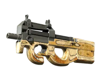 P90 | Shapewood (Well-Worn)