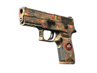 StatTrak™ P250 | Red Rock (Well-Worn)