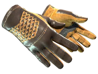 ★ Driver Gloves | Overtake (Factory New)
