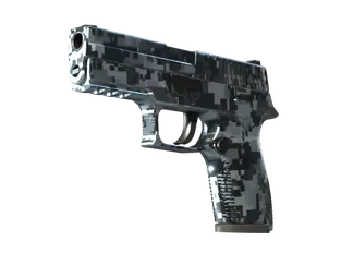 P250 | Steel Disruption (Minimal Wear)