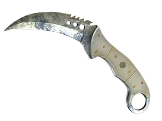★ StatTrak™ Talon Knife | Stained (Battle-Scarred)